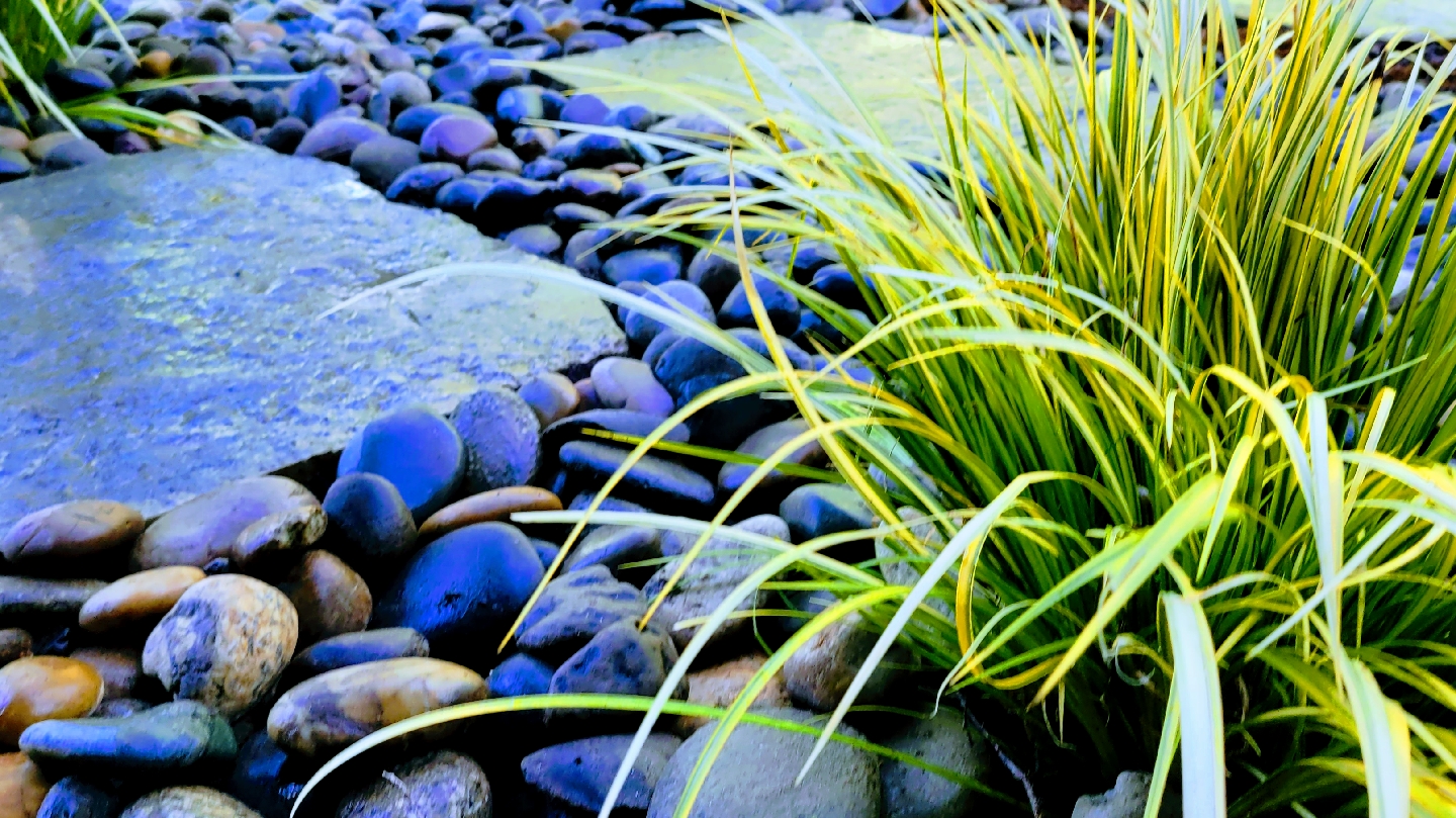A river rock border detail alongside ornamental grasses